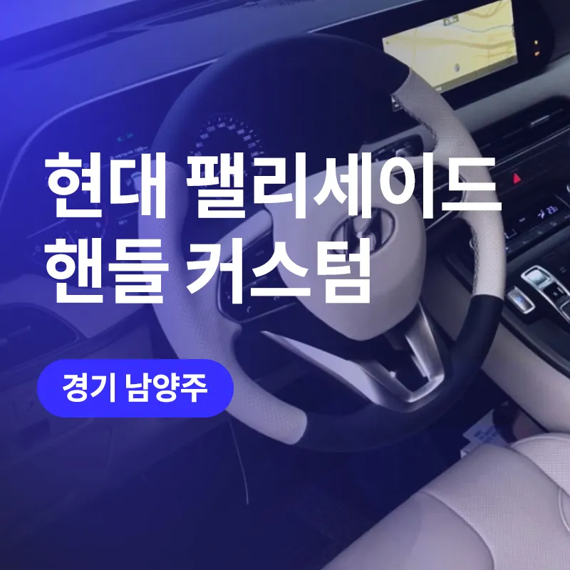 Hyundai Palisade Steering Wheel Customization Review photo 1