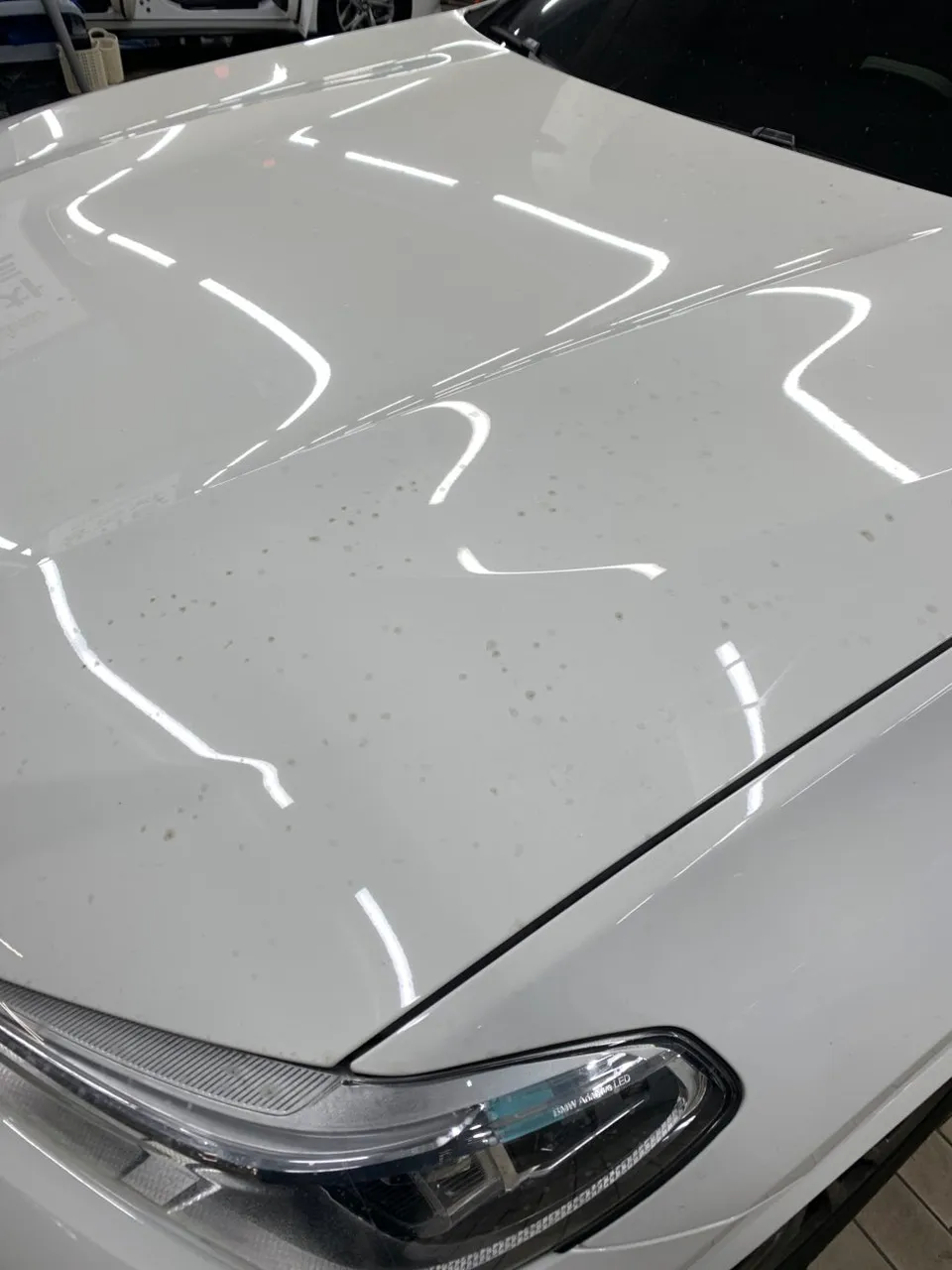 BMW X3 Paint Correction & Glass Coating Review photo 2