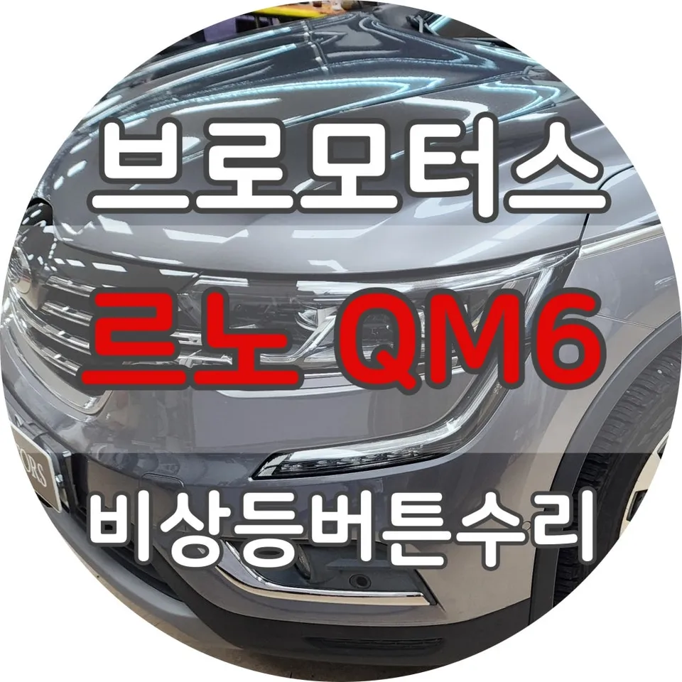 Renault QM6 body repair installation result