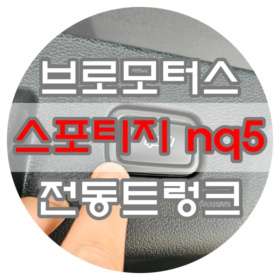 Kia Sportage NQ5 oem options installation result
