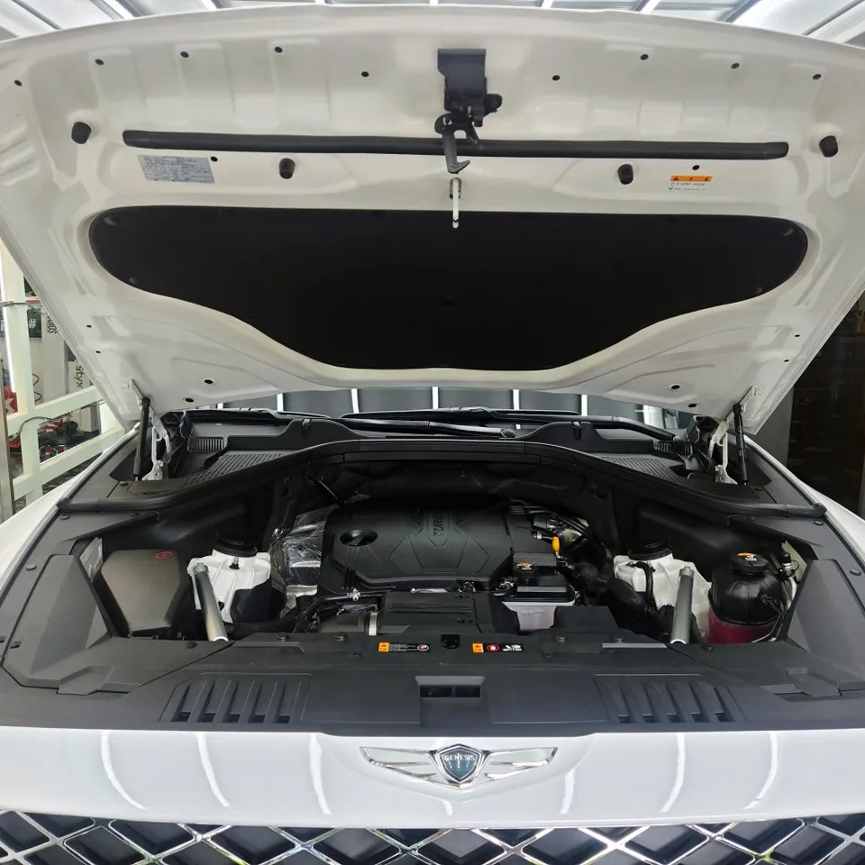 Genesis GV80のガラスコーティング事例|韓国での施工例 施工写真 3-1