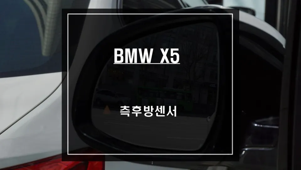 BMW X5 Blind Spot Monitoring Installation Review