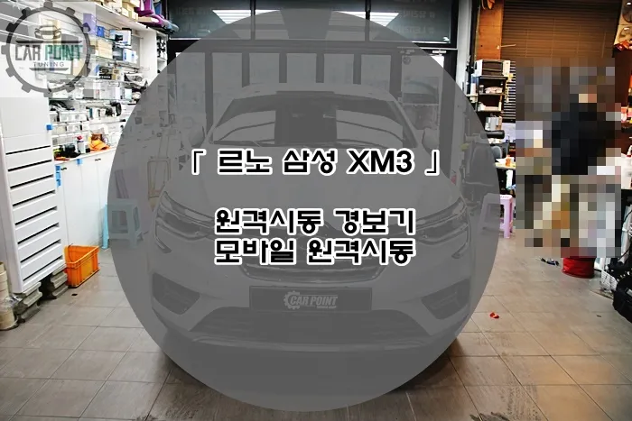 Renault Korea XM3 oem options installation result
