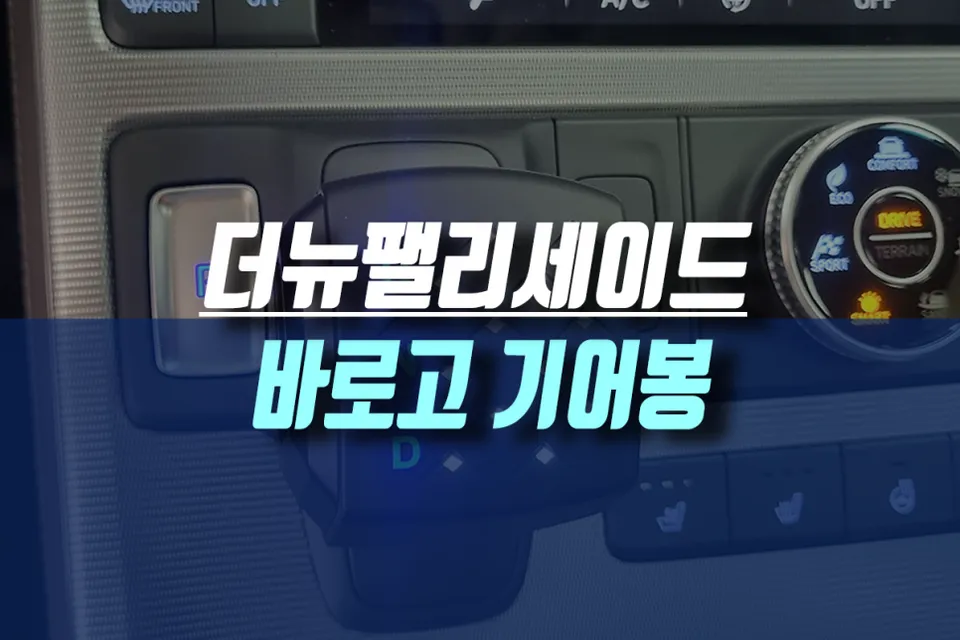 Hyundai Palisade Custom Steering Wheel Review — Enhanced Interior photo 1