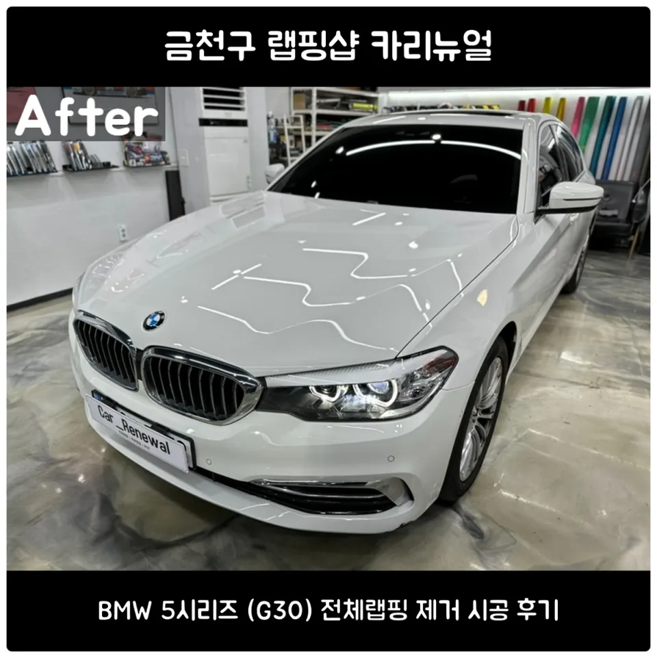 BMW 5 Series G30 Vinyl Wrap Removal Review