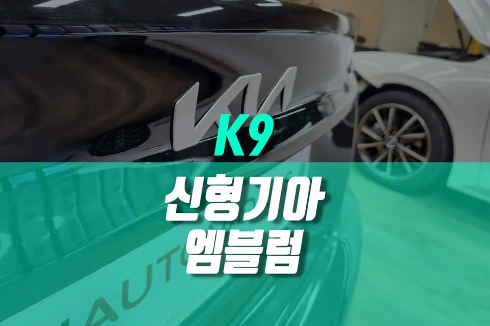 Kia K900 body repair review