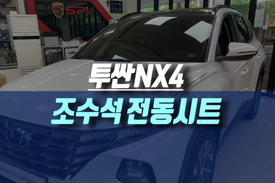 Lexus NX oem options installation result
