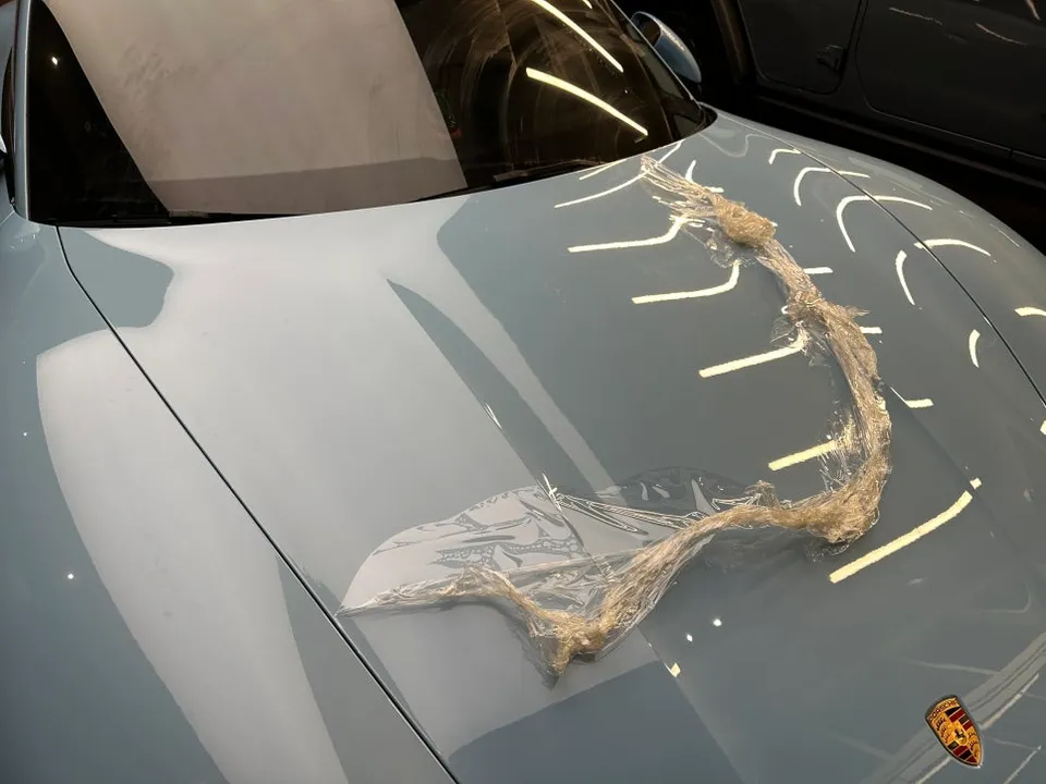 Porsche TaycanのPPF施工事例|韓国での実例 施工写真 4-1