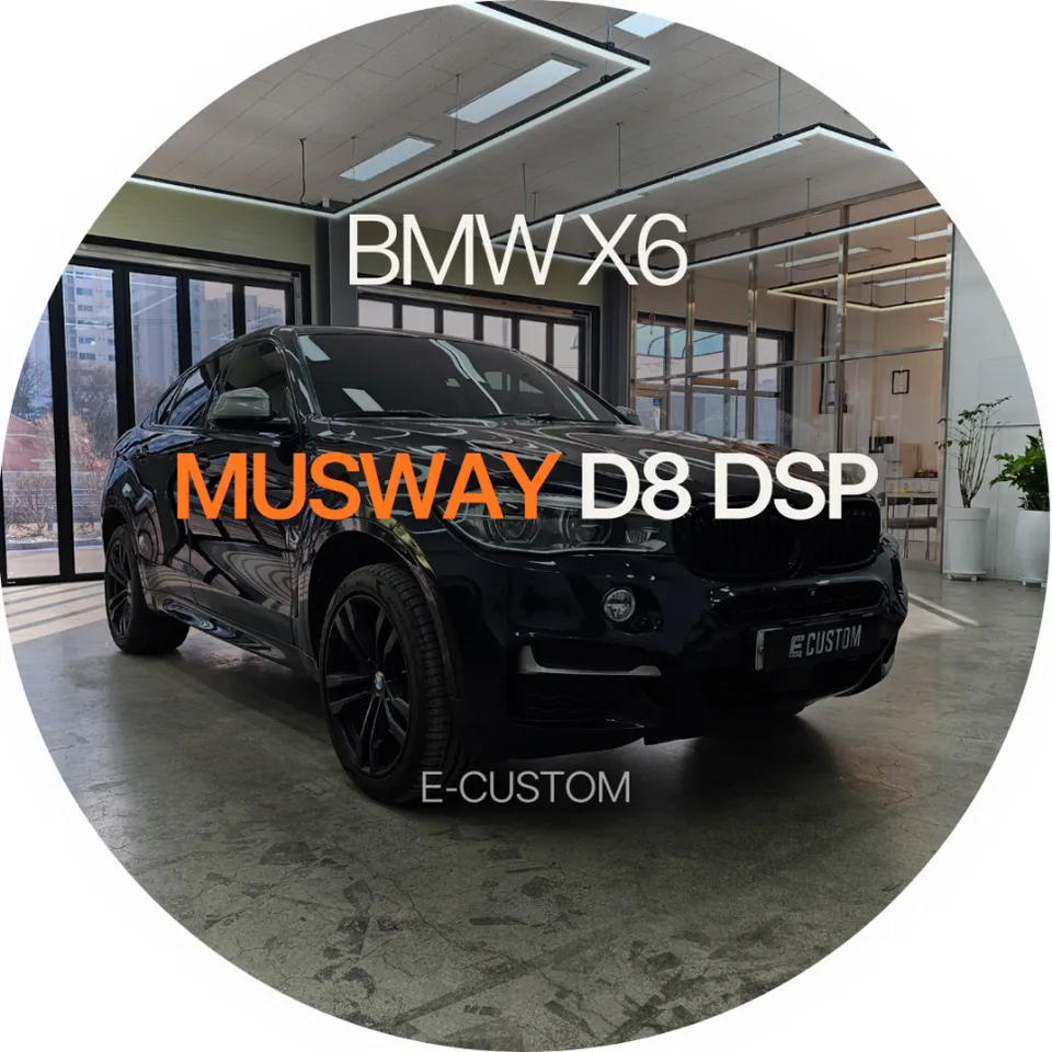 BMW X6 F16 car audio review