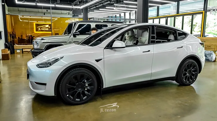 Tesla Model Y Steering Wheel Customization Review photo 1