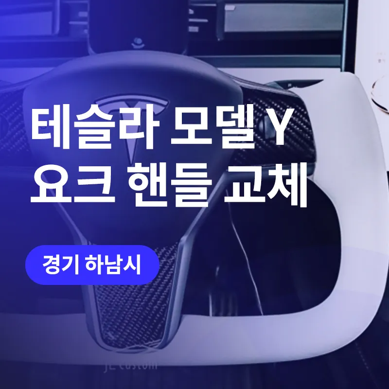 Tesla Model Y Steering Wheel Customization Review photo 2
