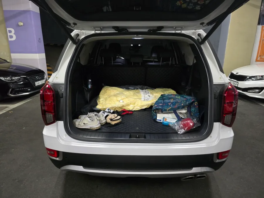 Hyundai Palisade ambient lighting - Hyundai Palisade Ambient Lighting Review: Before & After photo 3