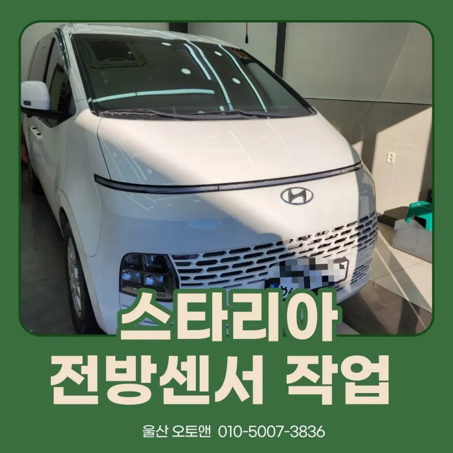Hyundai Staria oem options installation result