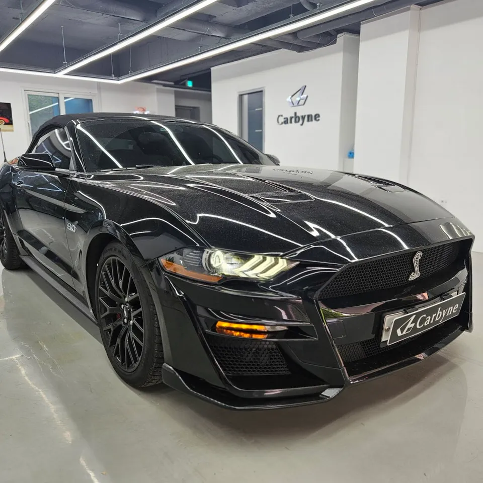 Ford Mustang PPF施工事例:ドアハンドル部分のカスタム 施工写真 1-1