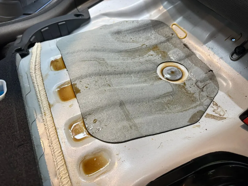 Hyundai Elantra AD paint correction - Hyundai Elantra AD Paint Correction Review — Stain Removal photo 3