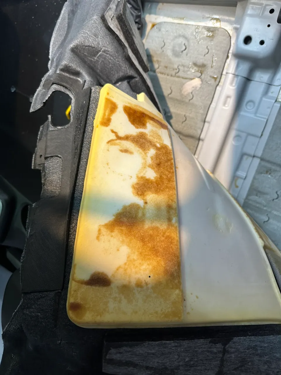 Hyundai Elantra AD paint correction - Hyundai Elantra AD Paint Correction Review — Stain Removal photo 4