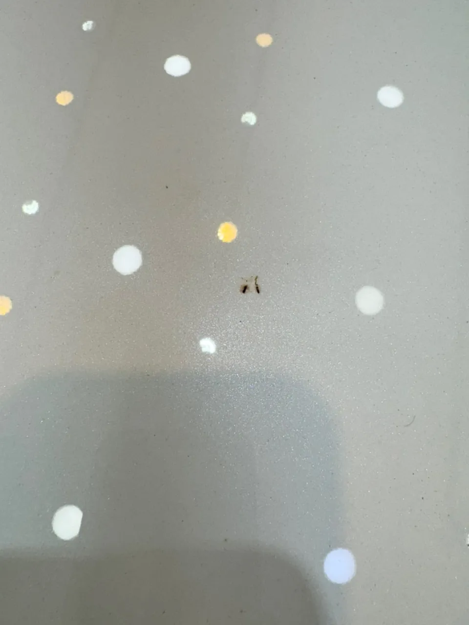 Genesis GV70 Ceramic Coating Review: Lasting Shine photo 4