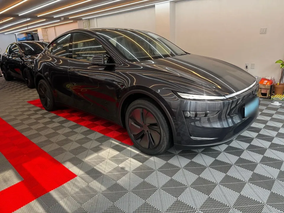 Tesla Juniper PPF Installation Review: Cost & Results photo 2