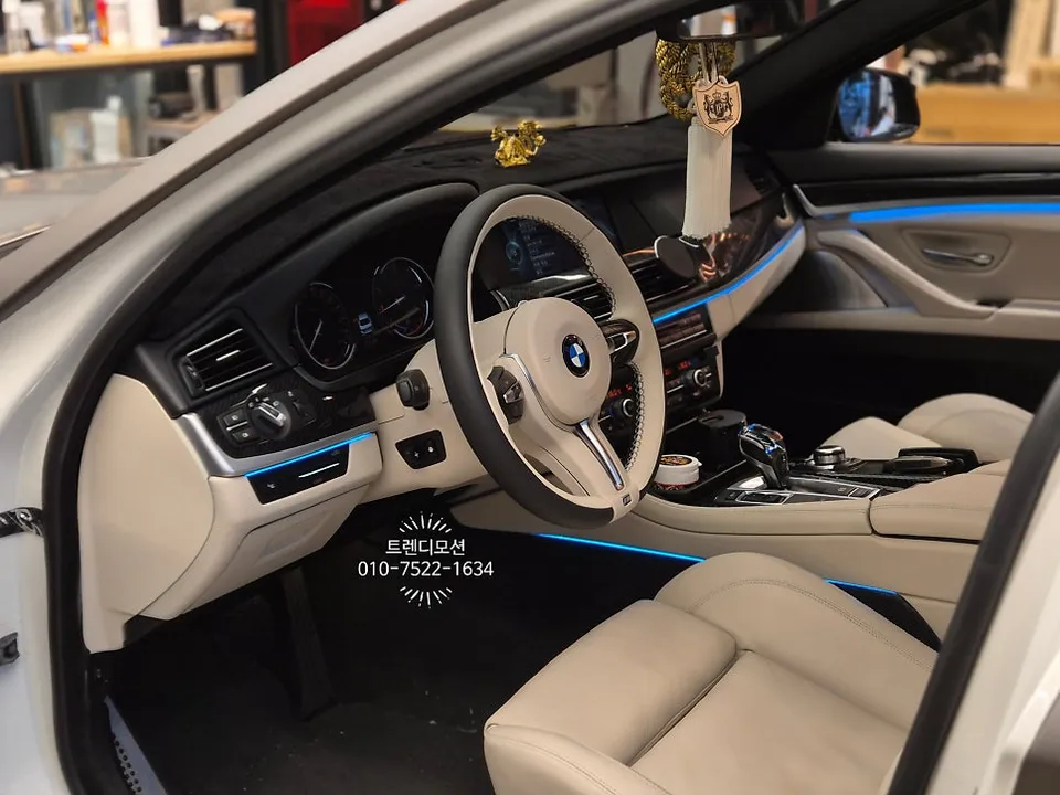 BMW 5 Series F10 Interior Customization Review photo 2