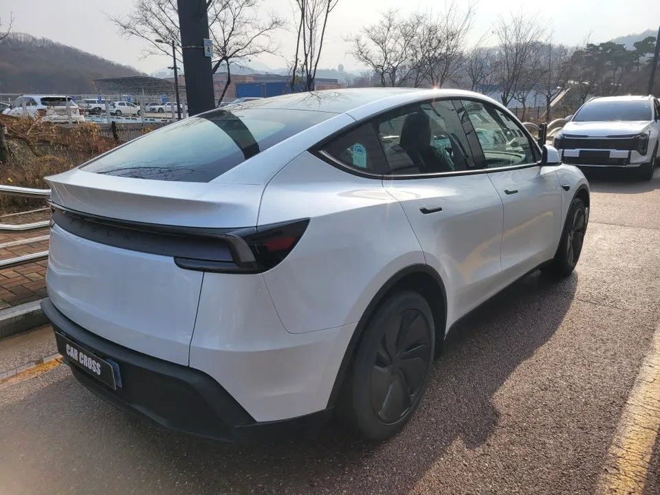 Tesla Model Y PPF施工事例|費用目安と仕上がり 施工写真 3-2