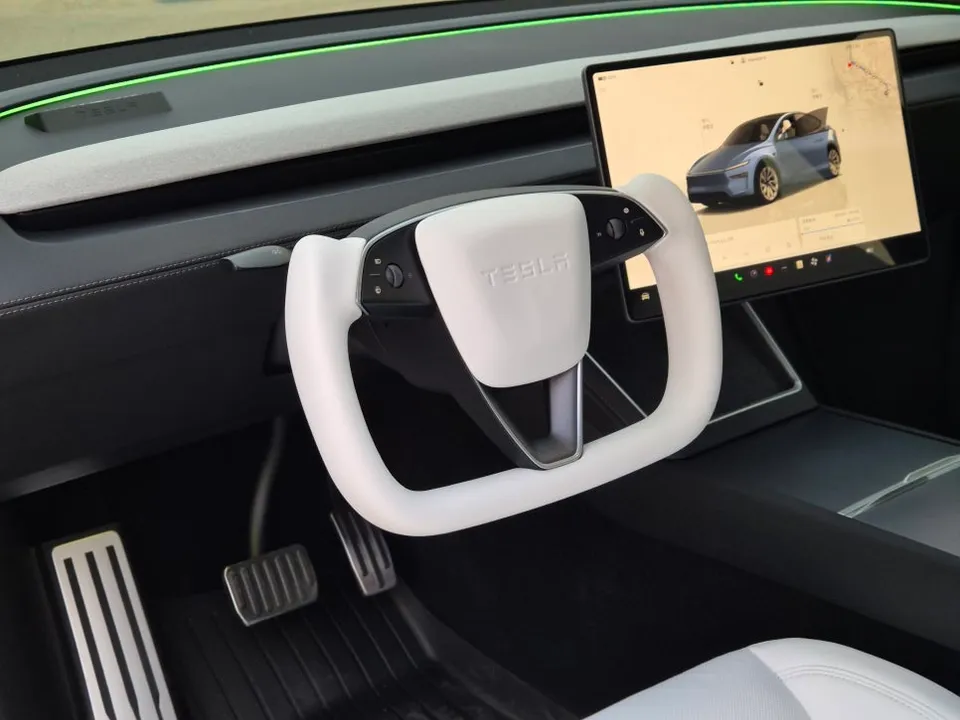 Tesla Model Y Steering Wheel Customization Review After