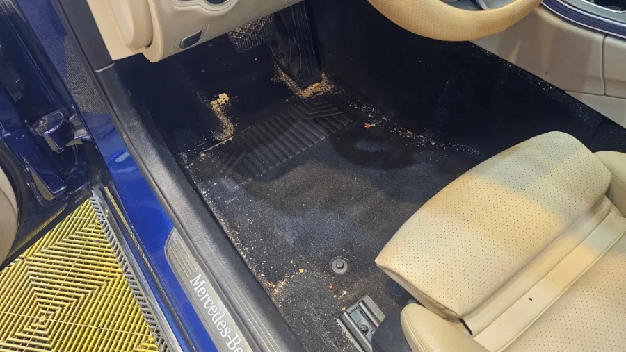 Mercedes-Benz E-Class paint correction installation result