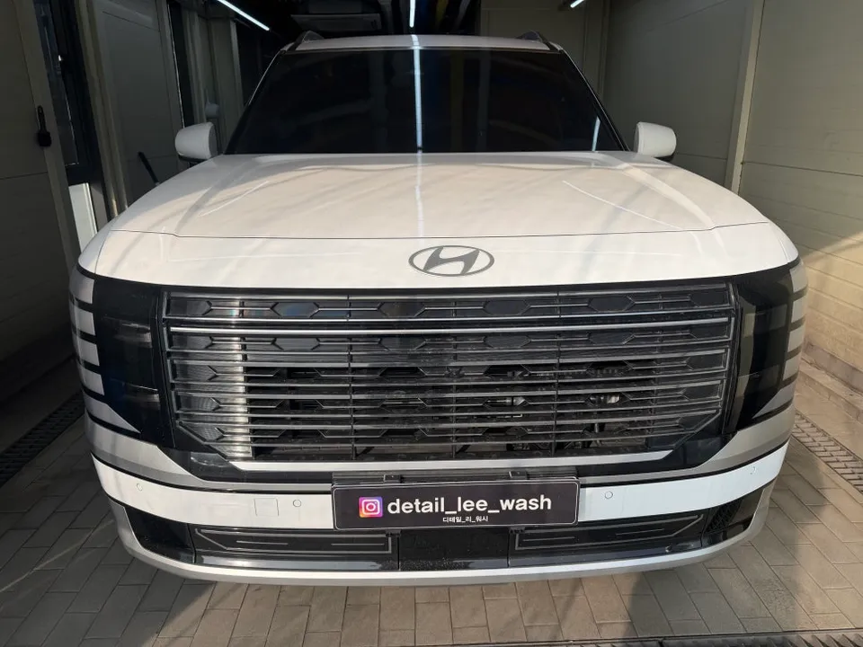 Hyundai Palisade ceramic coating review