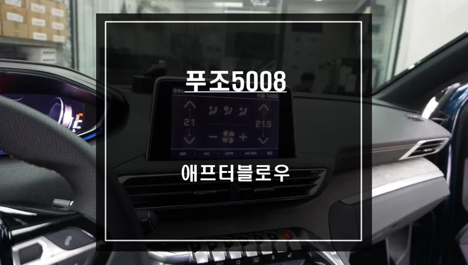 푸조 5008 paint correction installation result