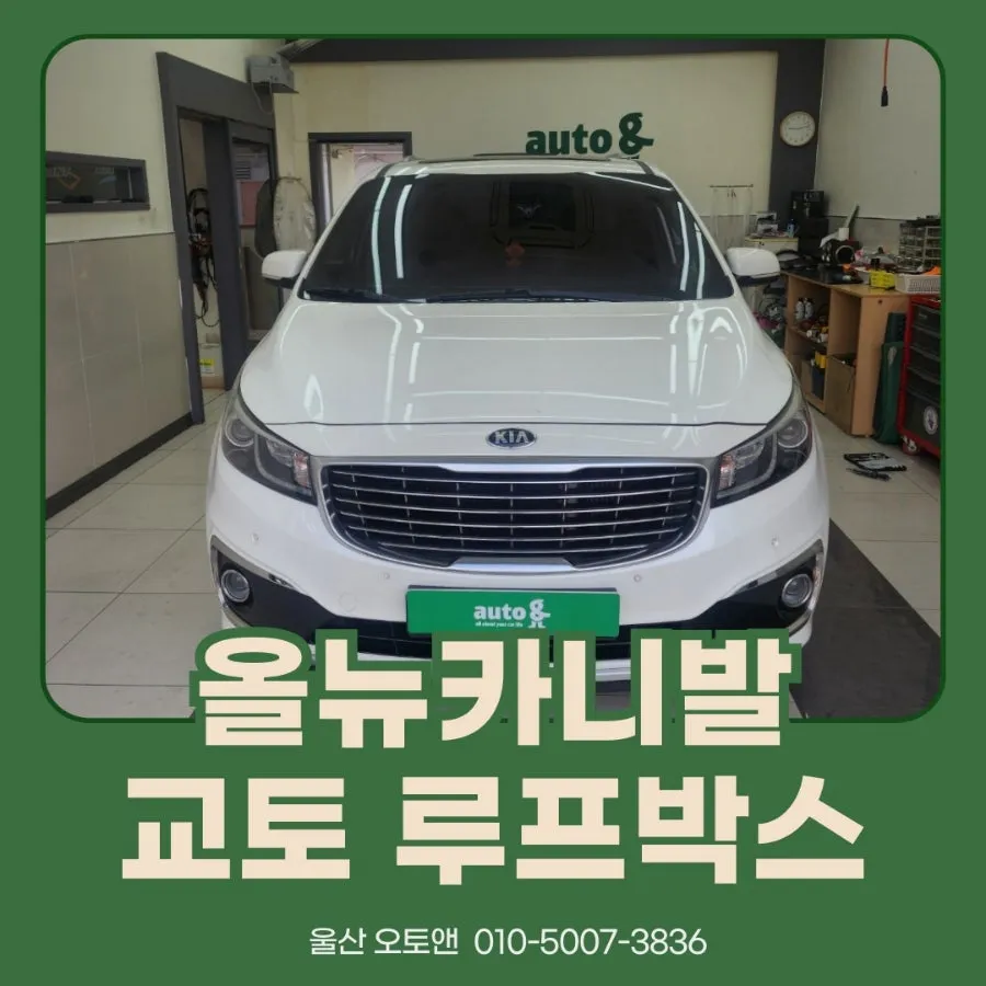 Kia Carnival KA4 ambient lighting installation result
