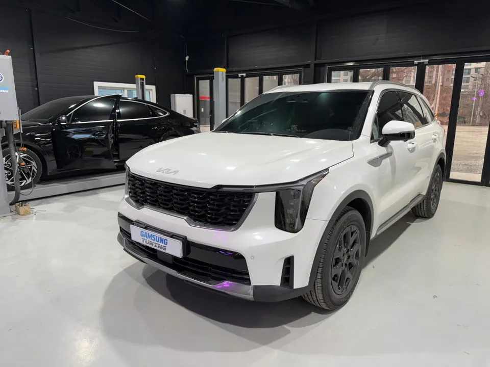 Kia Sorento MQ4 Ambient Lighting Review — Cost & Results photo 2