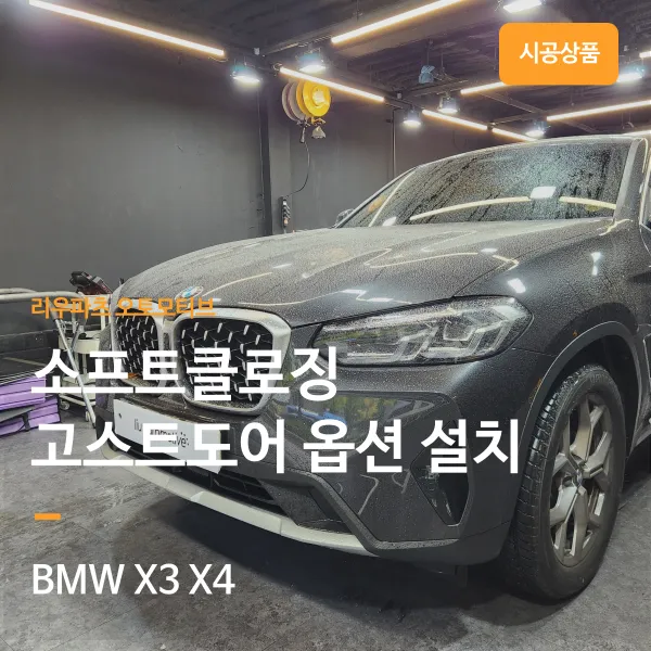 BMW X4 G02 ghost door review