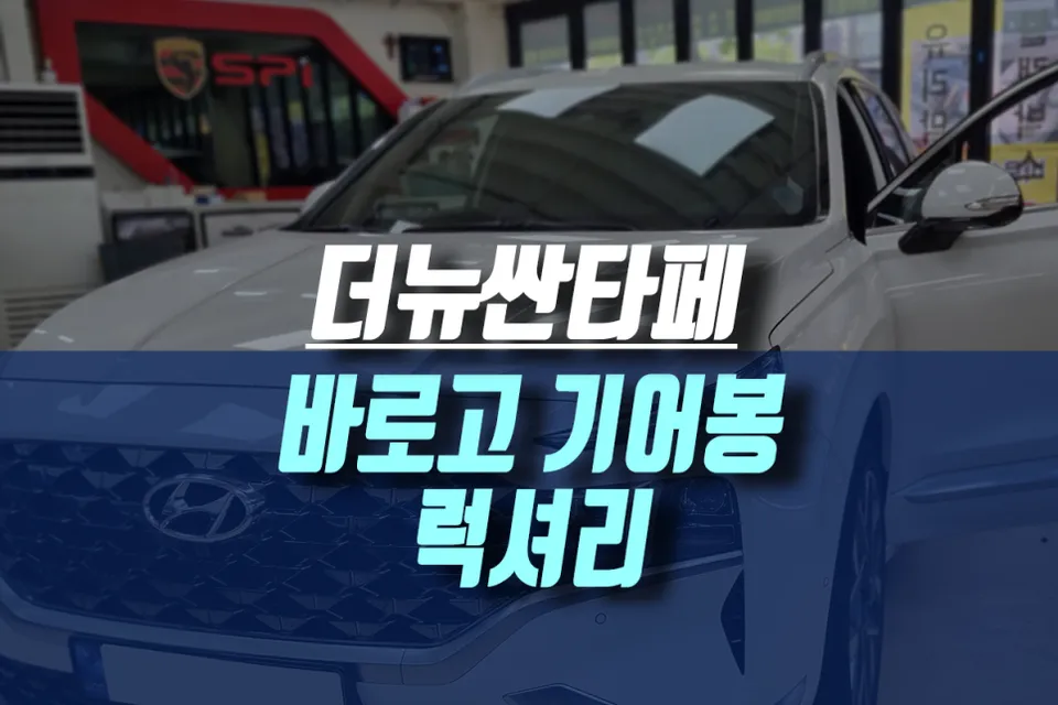 Hyundai Santa Fe steering wheel review