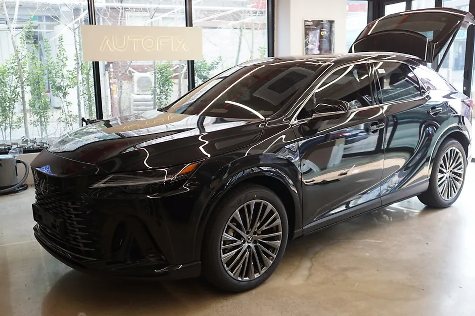 Lexus RX 350h Electric Running Boards Review — Enhanced Access