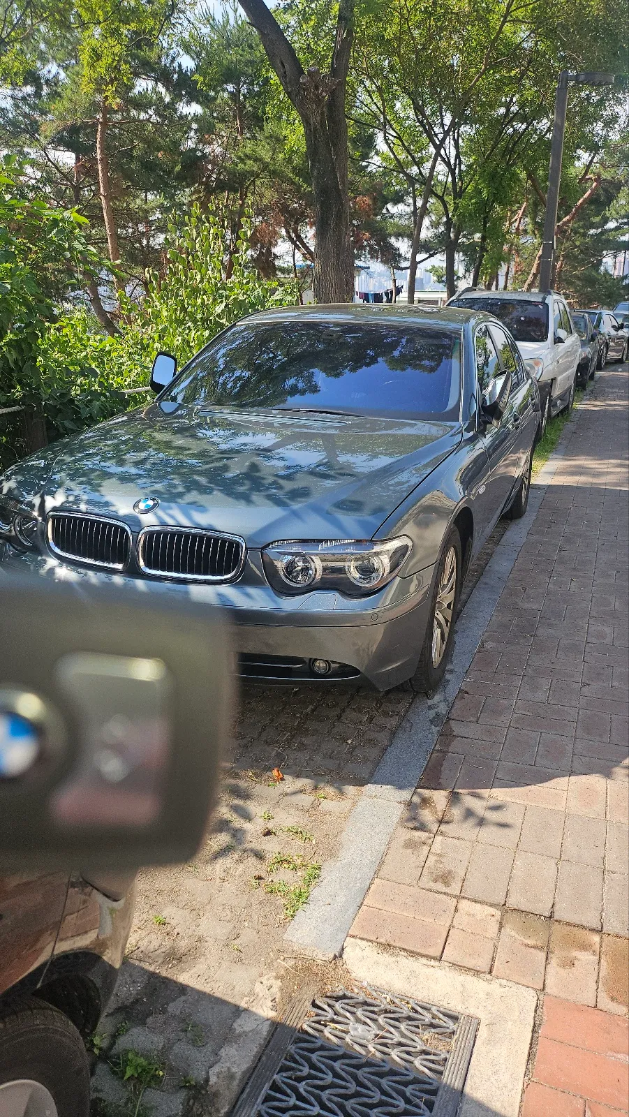 BMW 7 Series oem options installation result