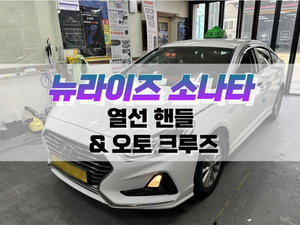Hyundai Sonata New Rise oem options review