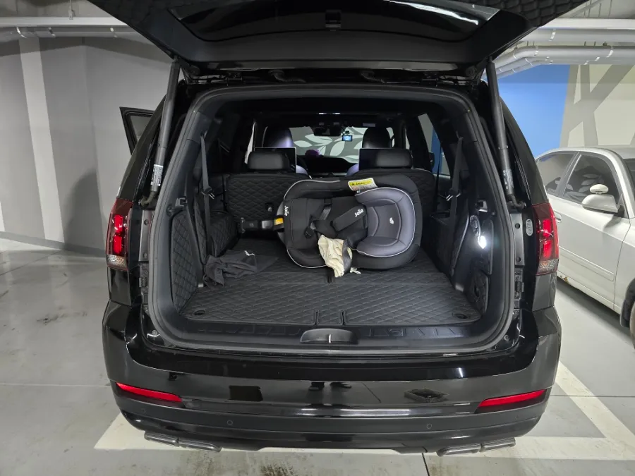 Kia Mohave The Master ambient lighting - Kia Mohave The Master Ambient Lighting Review: Warm White Upgrade photo 3