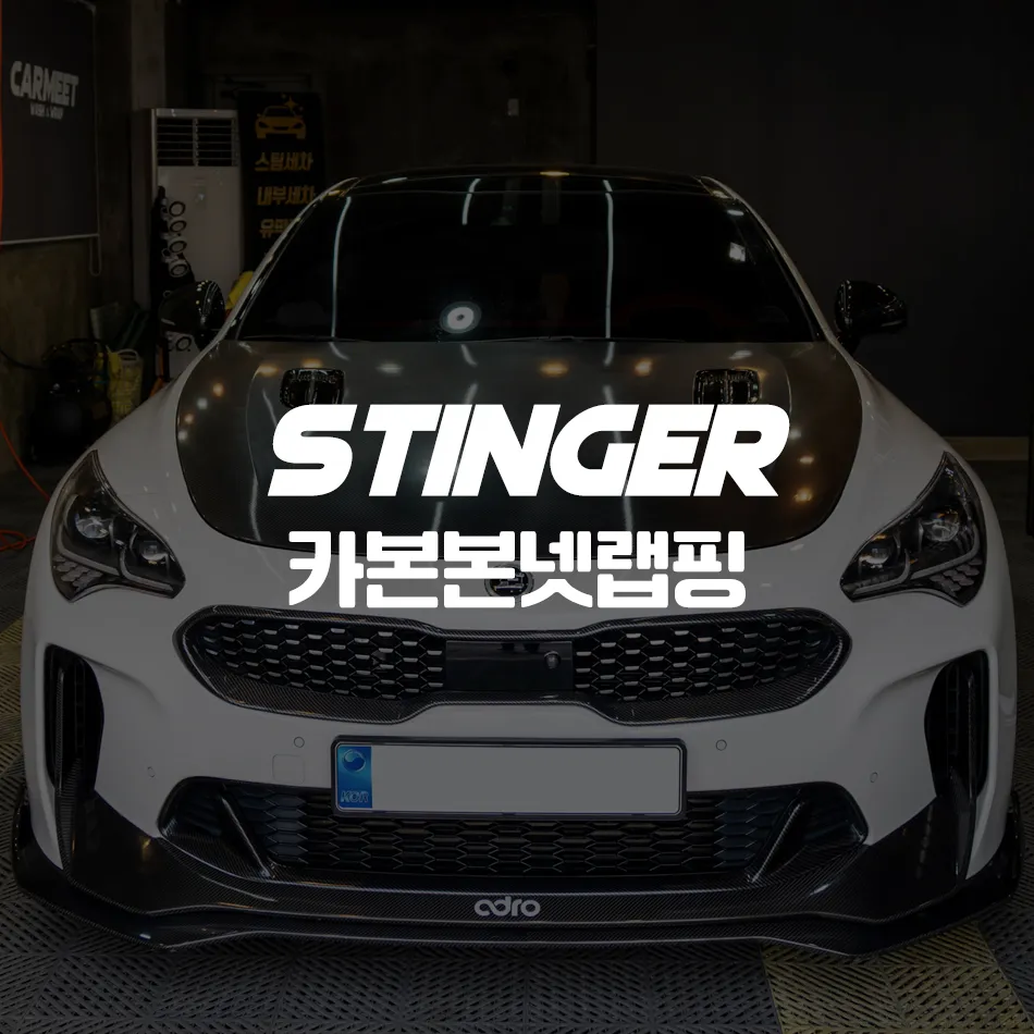 Kia Stinger vinyl wrap installation result