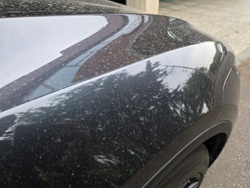 Tesla Model YのPPF施工事例|費用目安と仕上がり 施工写真 1-2