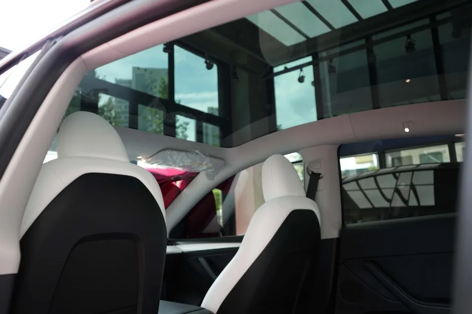 Tesla Model Y steering wheel - Tesla Model Y Steering Wheel Customization Review photo 4