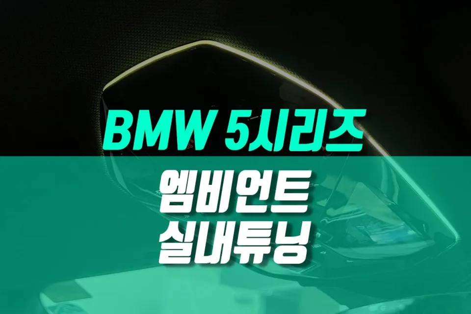 BMW 5 Series G60 ambient lighting installation result