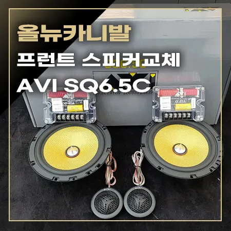 Kia All New Carnival car audio installation result