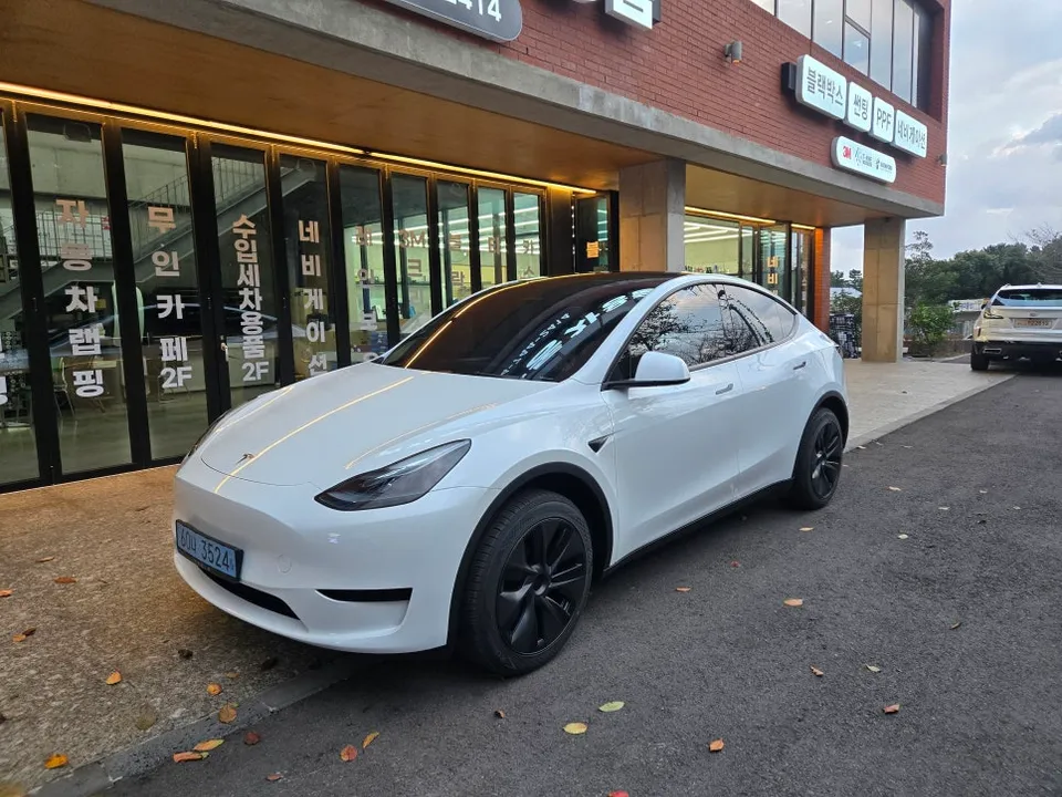 Tesla Model Y ppf review