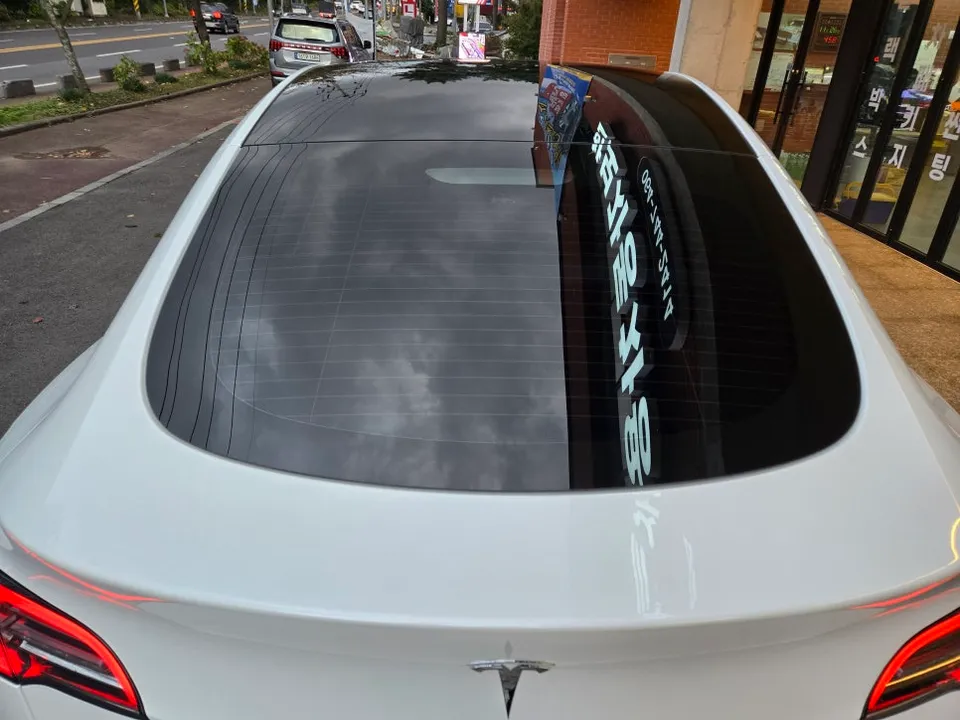 Tesla Model Y PPF Review: Crystal Clear Protection After
