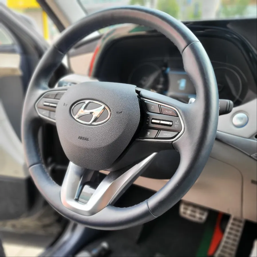 Hyundai Palisade steering wheel - Hyundai Palisade Steering Wheel Customization Review photo 3