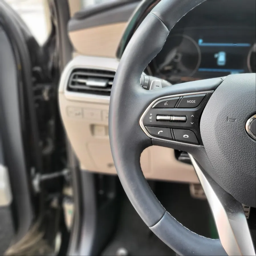 Hyundai Palisade steering wheel - Hyundai Palisade Steering Wheel Customization Review photo 4