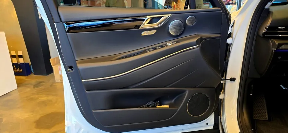 Genesis GV80 oem options - Genesis GV80 Soft Close Doors Review — Added Convenience photo 3
