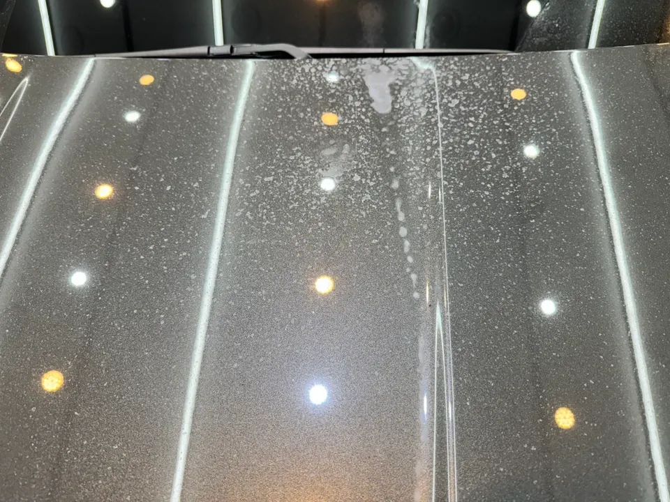 Genesis G80 paint correction - Genesis G80 Paint Correction & Glass Coating Review photo 4