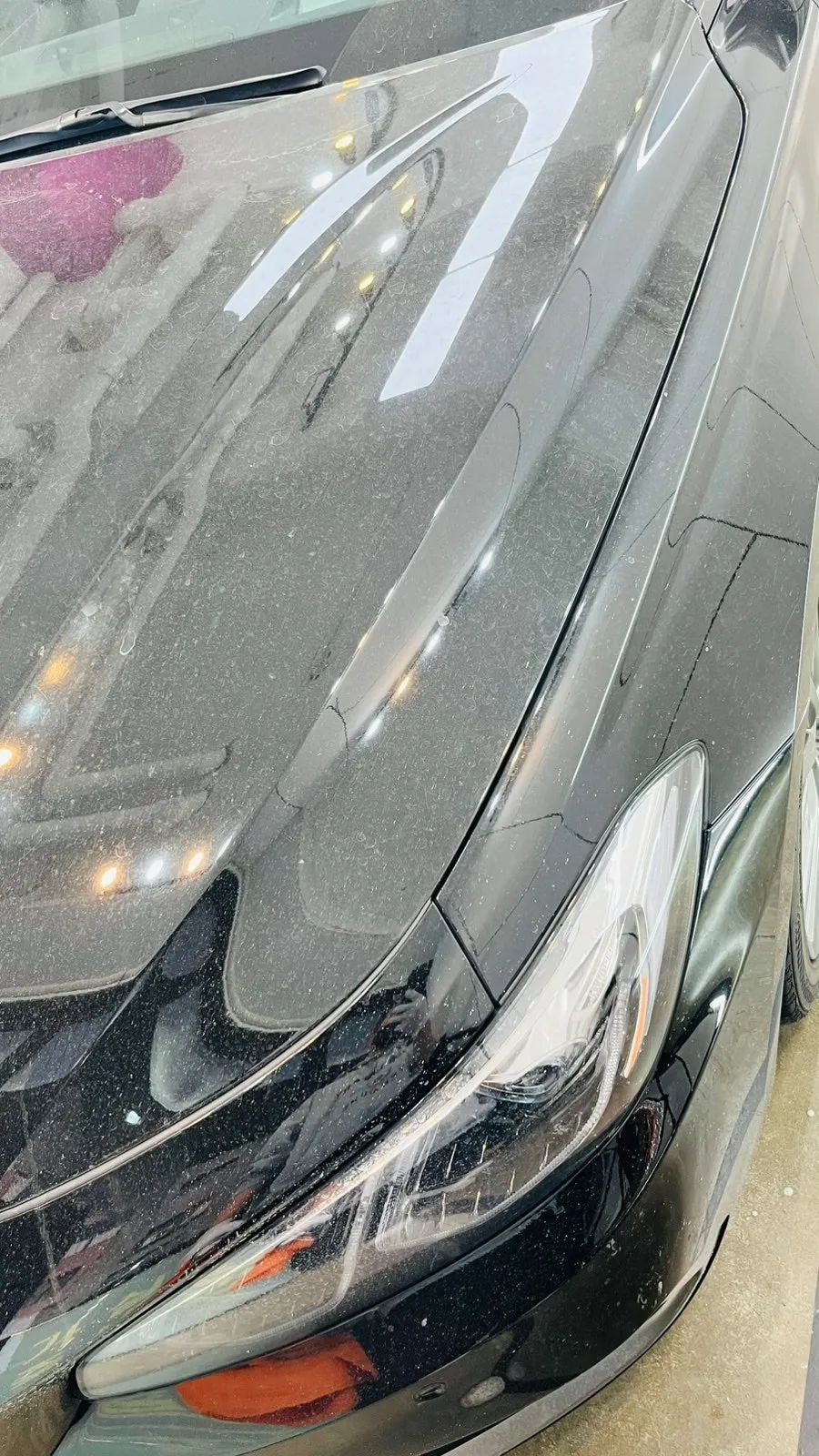 Hyundai Azera PPF Review — Flawless, Chip-Free Finish photo 3