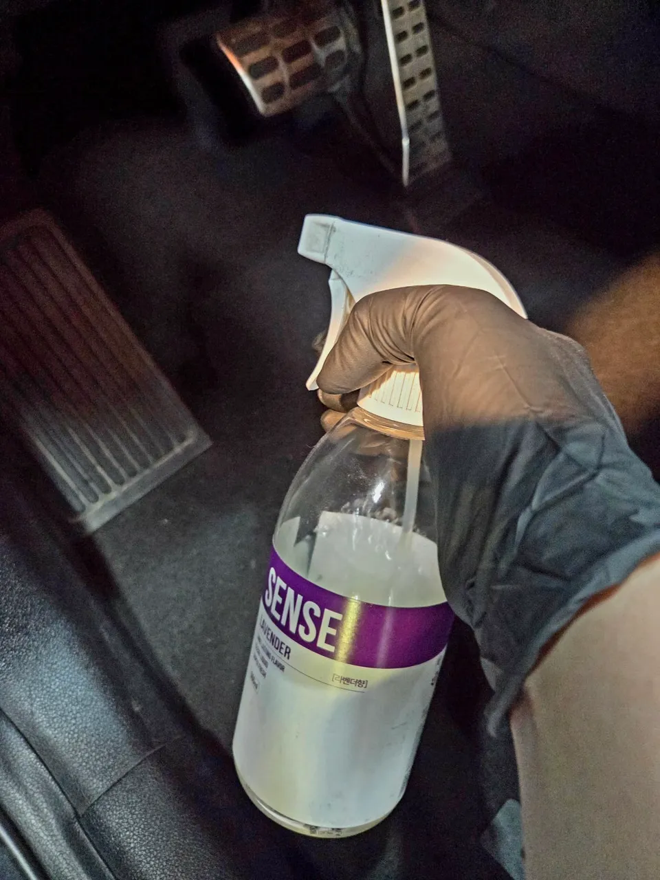 Kia Sorento Ceramic Coating Review — Enhanced Protection After