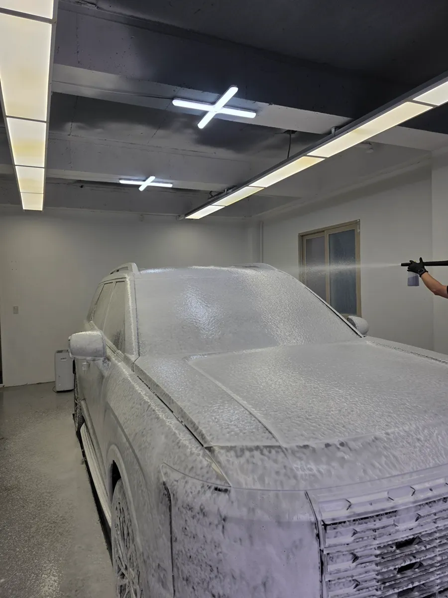 Hyundai Palisade Ceramic Coating Review: Enhanced Protection & Sh
